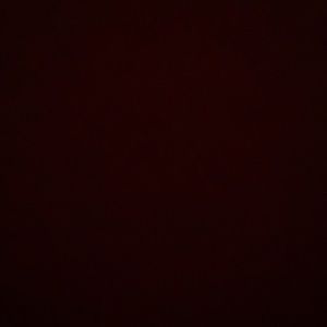 Meet your Posher, Hector